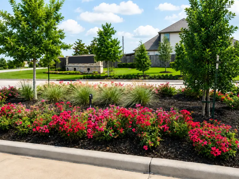 HOA and commercial landscape design