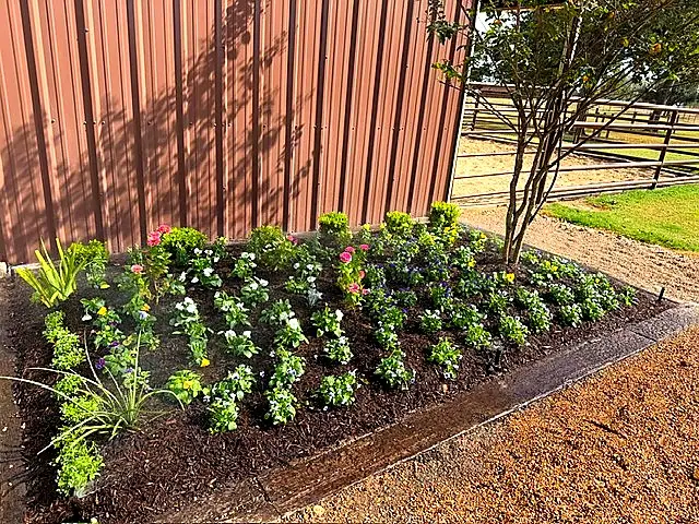 Long Border Planting — Landscape Maintenance