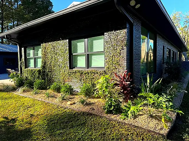 Ivy Wall & Tropical Bed — Landscape Maintenance