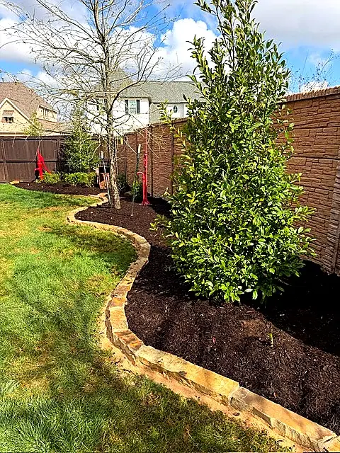 Tree & Shrub Planting — Landscape Maintenance