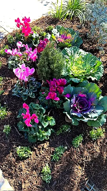 Seasonal Bed Detail — Seasonal Color Enhancements