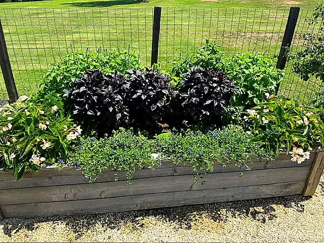 Ranch Beds & Fencing — Ranch Services