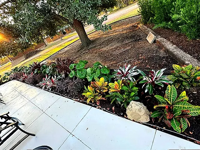Tropical Accent Planting — Seasonal Color Enhancements