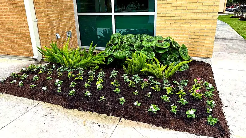 Office Park Plantings — HOA & Commercial Properties