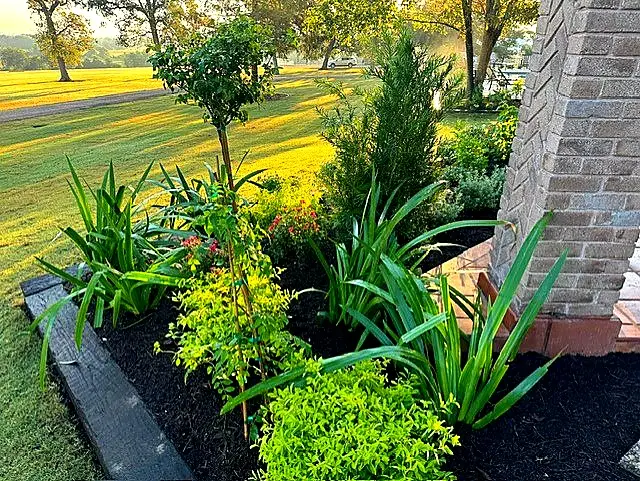 Layered Shrub Beds — Landscape Maintenance