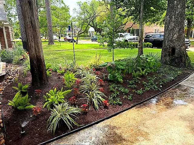 Mulch Beds & Tree Rings — Landscape Maintenance