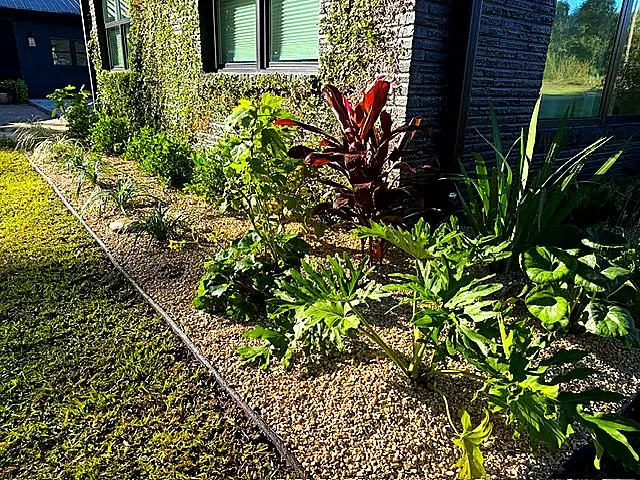 Tropical Bed Planting — Landscape Maintenance