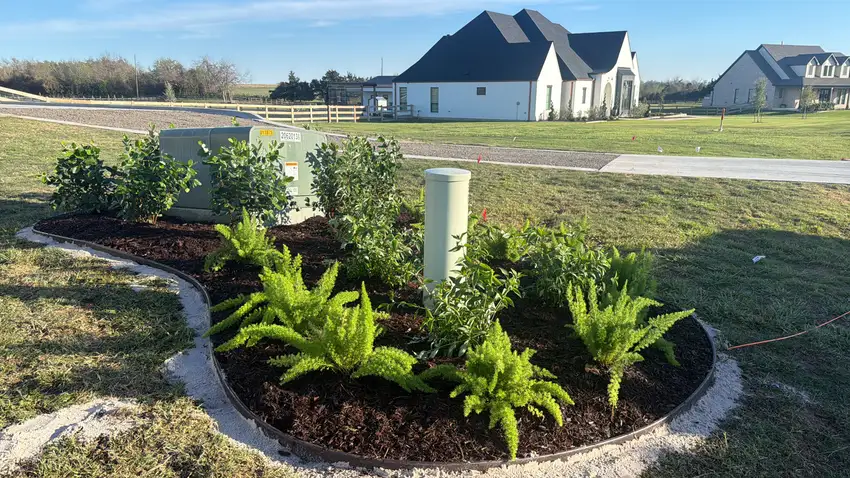 New curbside bed with ferns and young shrubs — Landscape Design & Maintenance