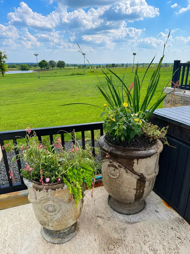 Container planting on a deck overlooking open pasture — Landscape Design & Maintenance