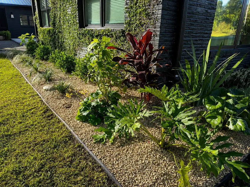 Landscape Design & Maintenance
