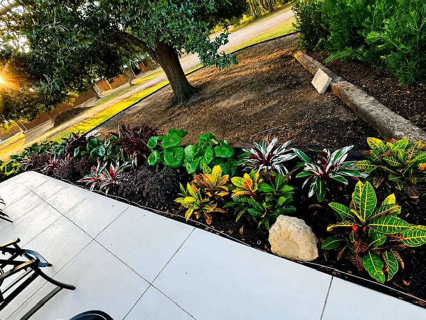 Poolside planting bed with crotons and tropical accents — Landscape Design & Maintenance