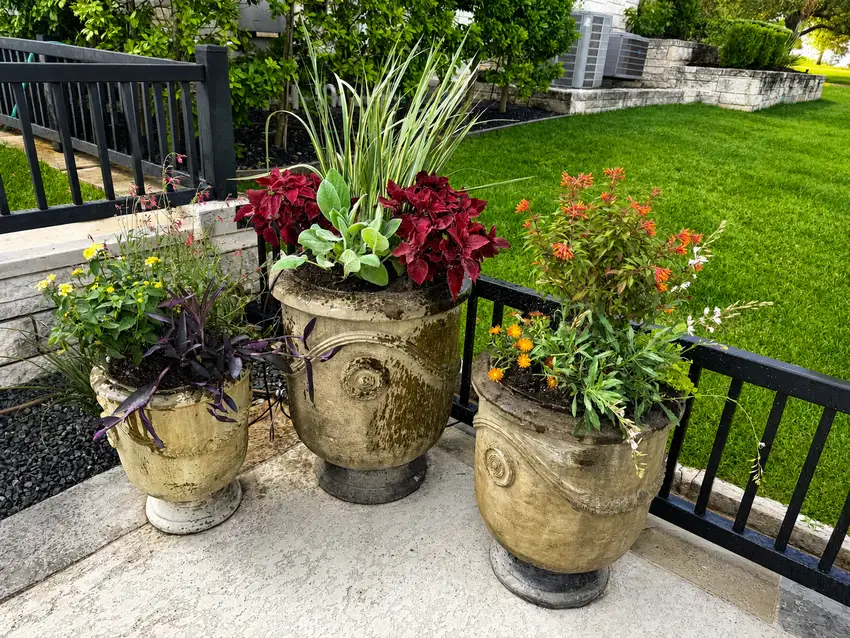 Three stone urns planted for seasonal color on a patio — Landscape Design & Maintenance