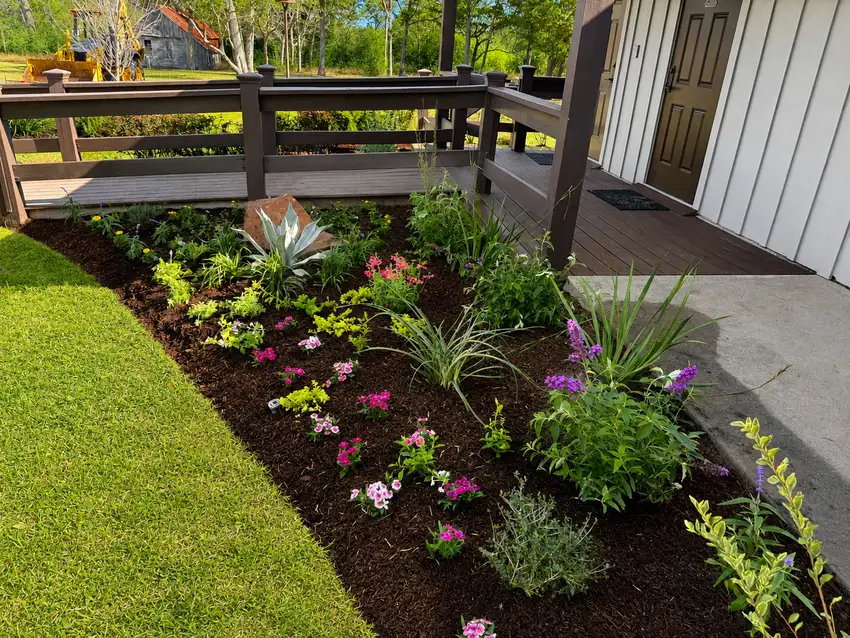 Brick wall bed planted with palms and yuccas — Landscape Design & Maintenance