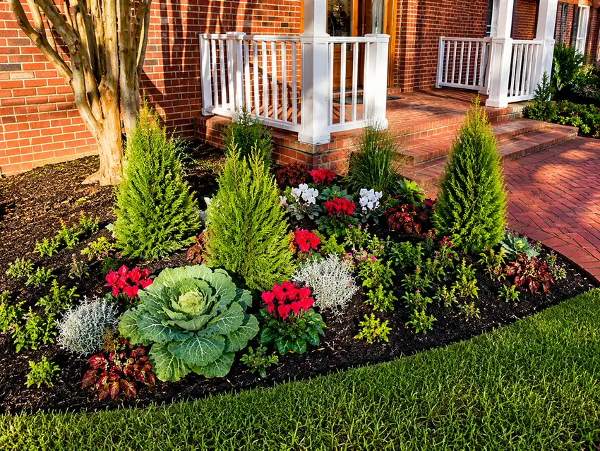 Container planting with purple heart and white blooms — Landscape Design & Maintenance