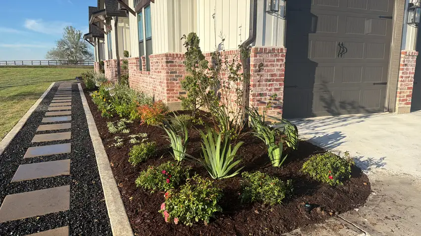 Entry bed with conifers, cabbage and red seasonal color — Landscape Design & Maintenance