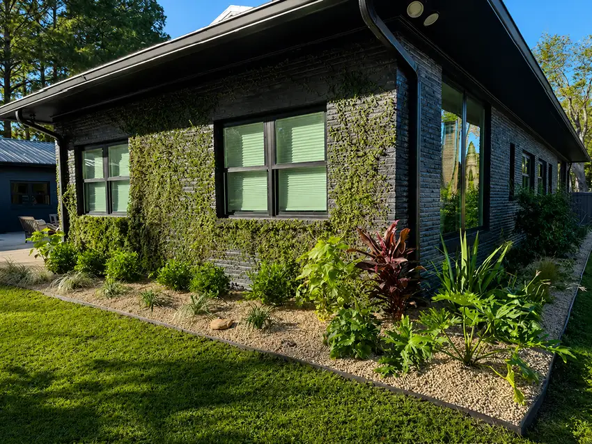 Landscape Design & Maintenance