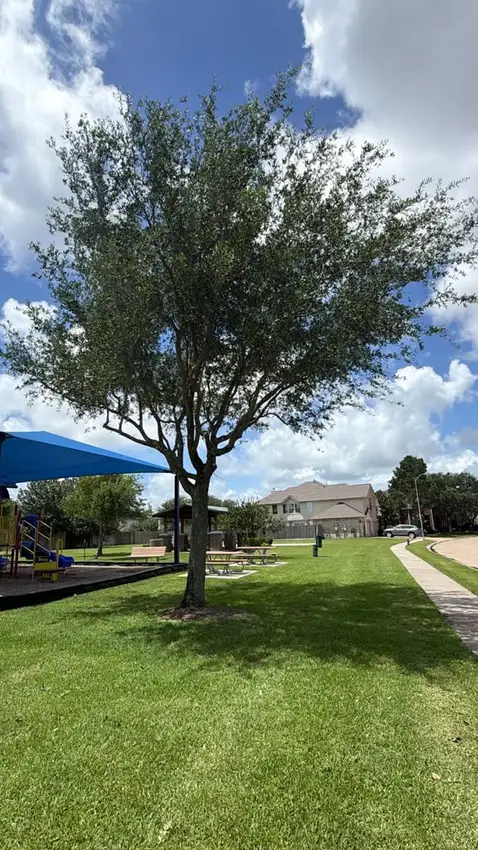 Shaded community playground with maintained turf — HOA & Commercial Properties