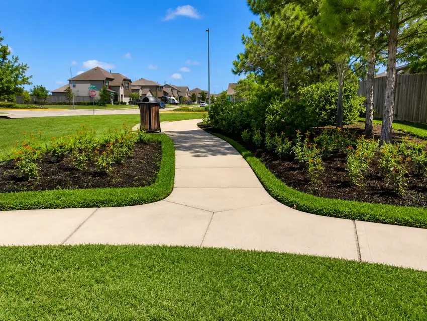 Neighborhood entrance planting with conifers and shrubs — HOA & Commercial Properties