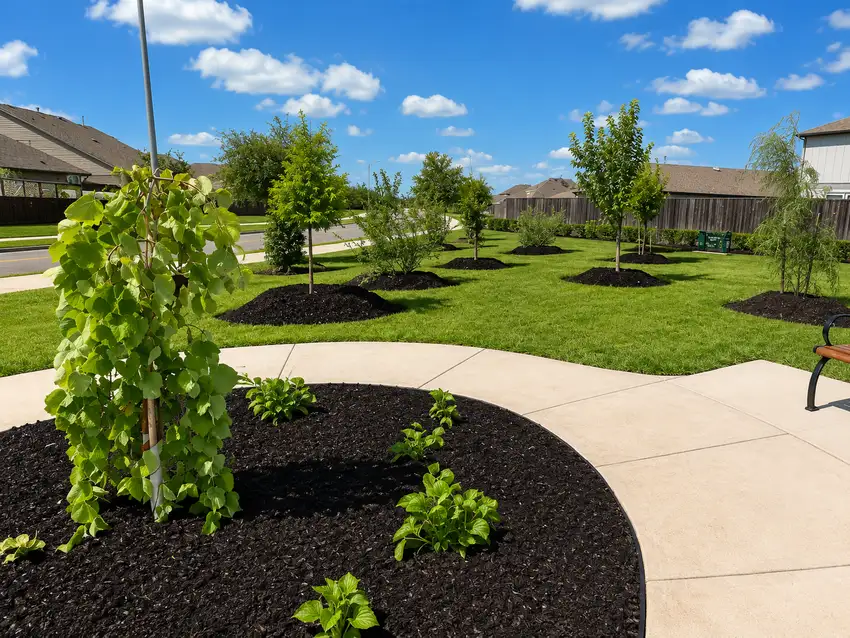 Office park bed with purple and white seasonal color — HOA & Commercial Properties