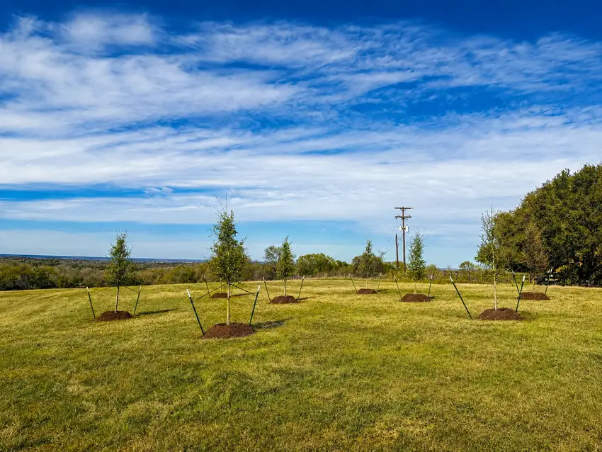 Flagstone stepping stones through a ranch planting bed — Ranch Services
