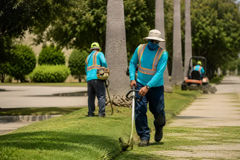Landscape Design & Maintenance