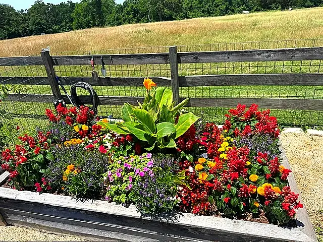 Seasonal Color Enhancements